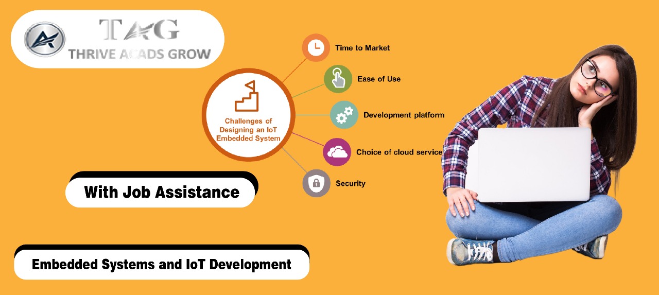 Embedded Systems and IoT Development